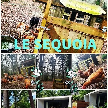 Appartement Le Séquoia