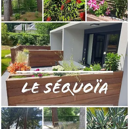 Le Séquoia *