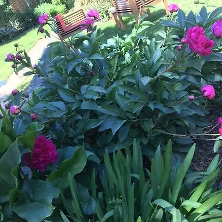 Le Sequoia Apartamento *