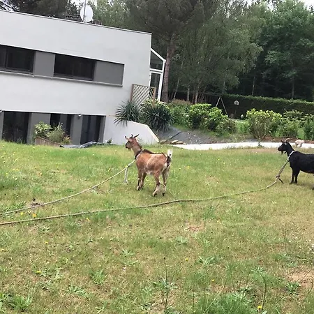 Le Sequoia * Saint-Sébastien-sur-Loire