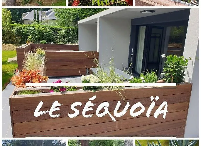 Le Sequoia *