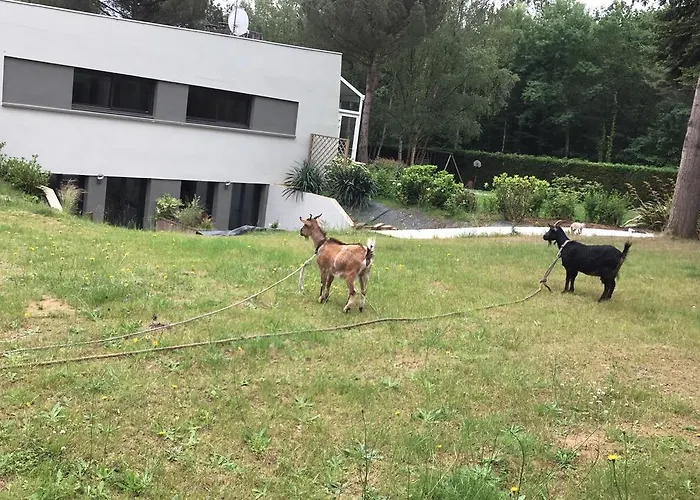 Le Sequoia * 圣塞巴斯蒂安苏尔